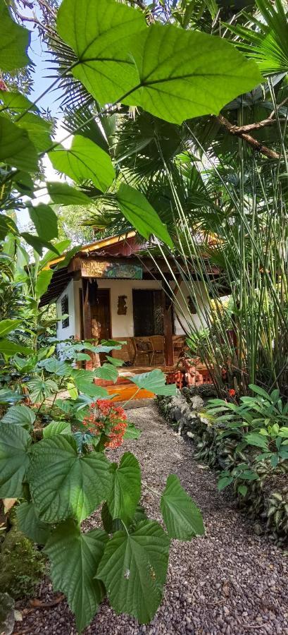 Cabinas Tito Cahuita Buitenkant foto