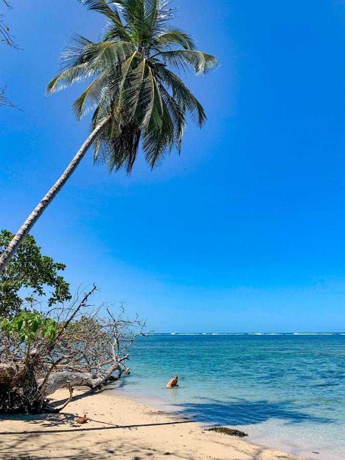 Cabinas Tito Cahuita Buitenkant foto