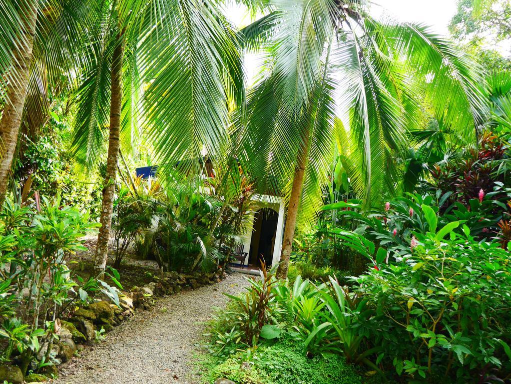 Cabinas Tito Cahuita Kamer foto